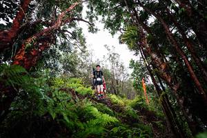 BIB: 
                            <button type="button" onclick="openModal(26202410)" class="btn btn-primary btn-sm float-right btn-popup" data-toggle="modal" data-target=".modal-high-quality">
                        <i class="fas fa-shopping-cart"></i> Add to Cart
                    </button>
                                            <button type="button" onclick="isThisMe(26202410, true)" class="btn btn-success btn-sm float-right btn-popup btn-isme hidden" data-toggle="tooltip" data-placement="bottom" title="นี่คือรูปของคุณใช่ไหม คลิกที่นี่เพื่อเอาเข้าอัลบั้ม">
                        <i class="fas fa-plus"></i> Add to album
                    </button>
                    <button type="button" onclick="isThisMe(26202410, false)" class="btn btn-warning btn-sm float-right btn-popup btn-isnotme hidden">
                        <i class="fas fa-ban"></i> Remove from album
                    </button>